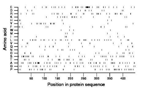 amino acid map