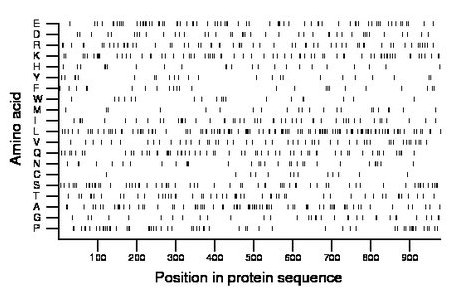 amino acid map