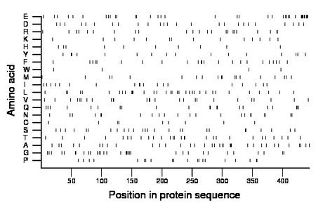 amino acid map