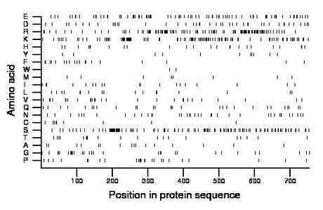 amino acid map