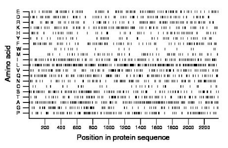 amino acid map