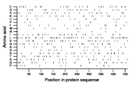 amino acid map