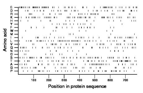 amino acid map