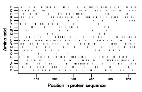 amino acid map