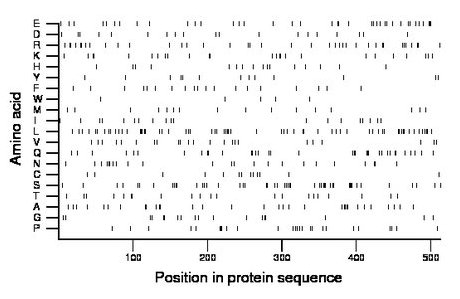 amino acid map