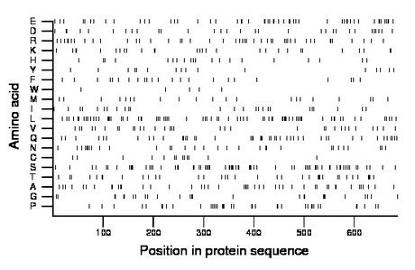 amino acid map