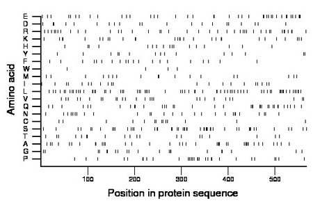 amino acid map