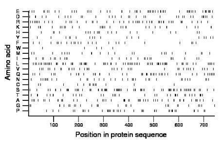 amino acid map