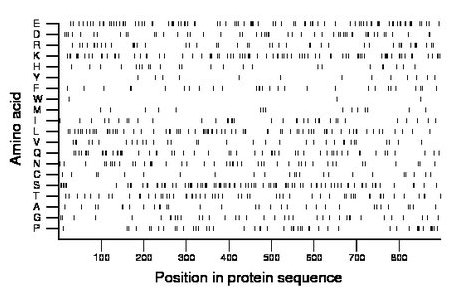 amino acid map