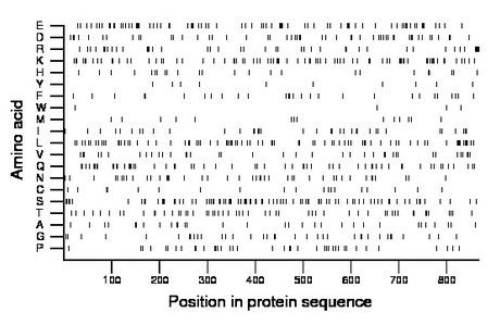 amino acid map