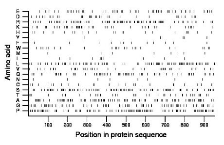 amino acid map