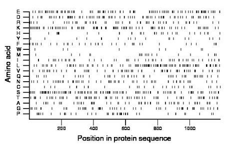 amino acid map