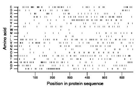 amino acid map