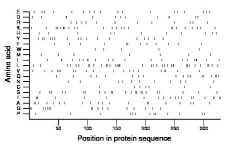 amino acid map