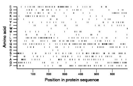 amino acid map