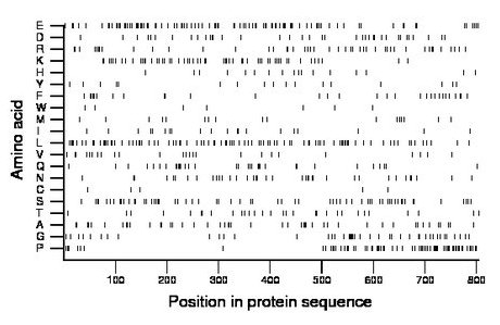 amino acid map