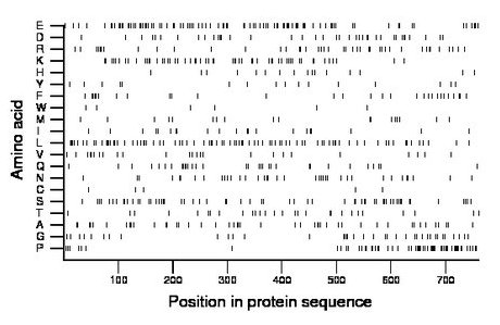 amino acid map