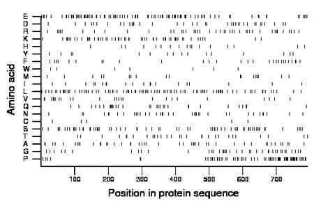 amino acid map