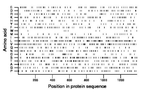 amino acid map