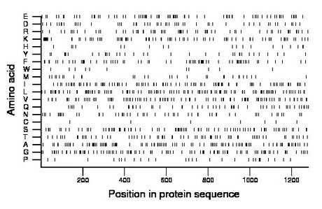 amino acid map