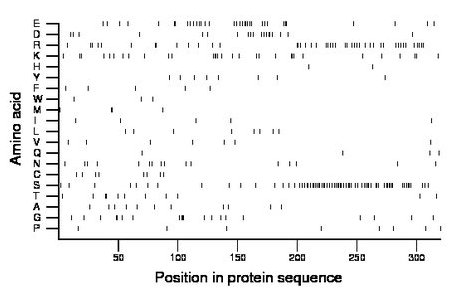 amino acid map