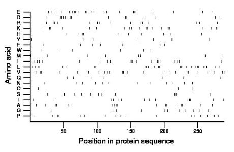 amino acid map