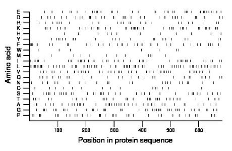 amino acid map