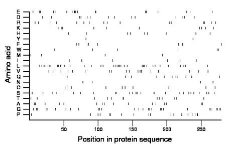 amino acid map