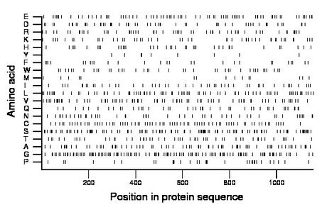 amino acid map