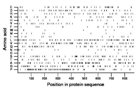 amino acid map