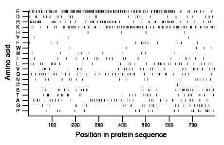 amino acid map