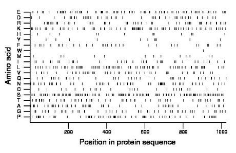 amino acid map