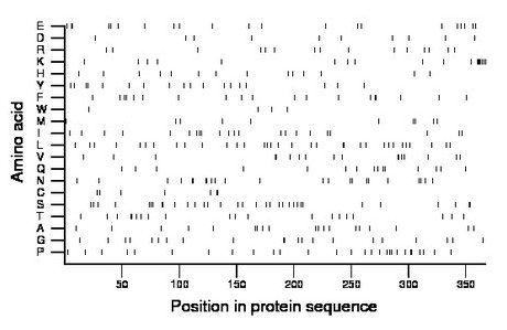 amino acid map