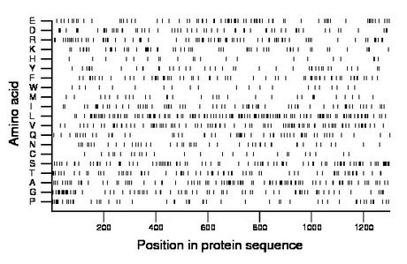 amino acid map