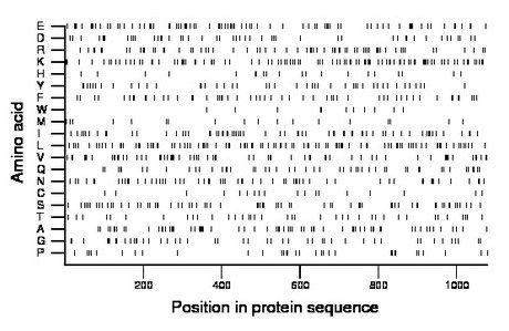 amino acid map