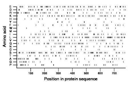 amino acid map