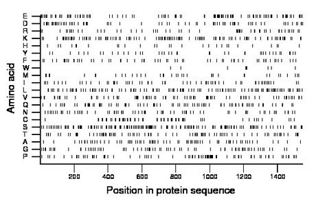 amino acid map