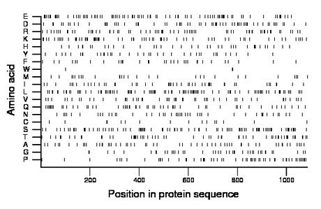 amino acid map