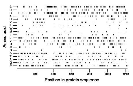 amino acid map