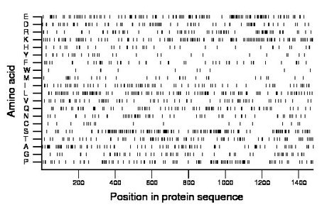 amino acid map