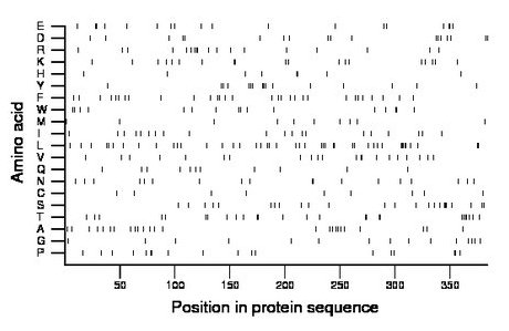 amino acid map