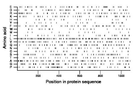 amino acid map