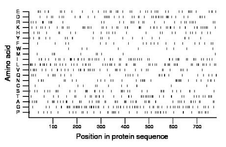 amino acid map