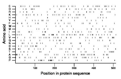 amino acid map