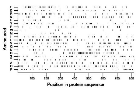 amino acid map