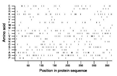 amino acid map