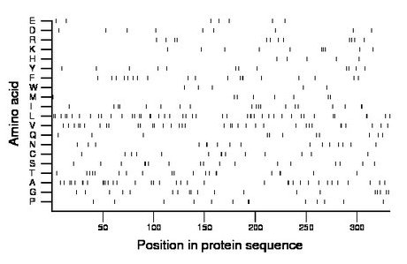 amino acid map