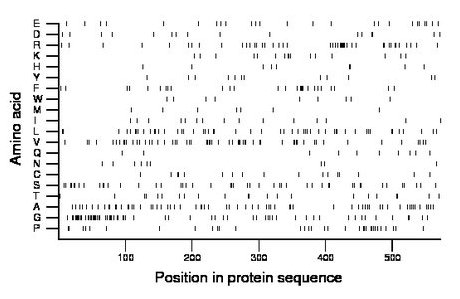 amino acid map