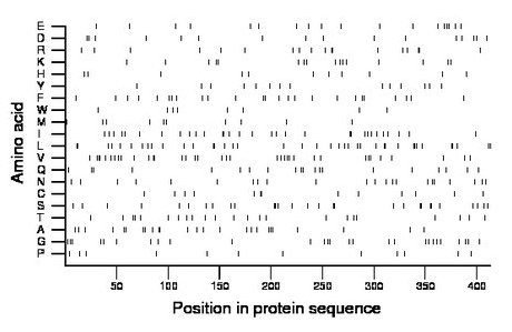 amino acid map