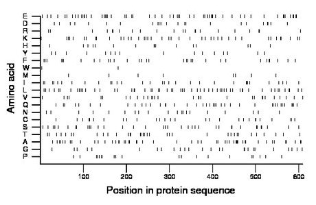 amino acid map